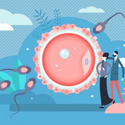 Evolution de la&nbsp;sexualité